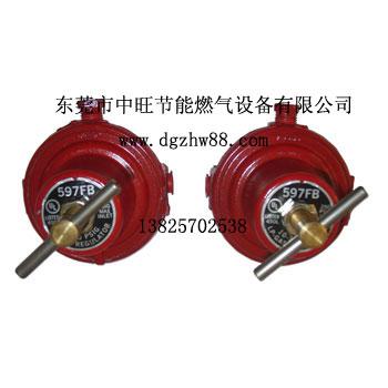 供應(yīng)節(jié)能液化氣氣化器