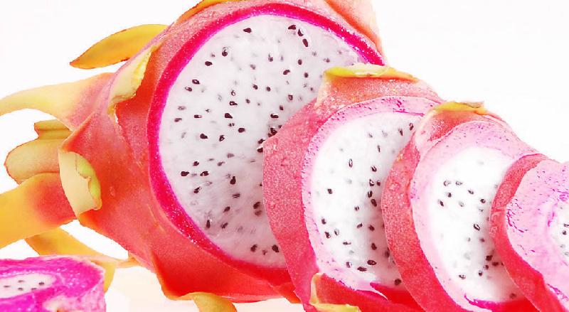 廣州從化火龍果圖片