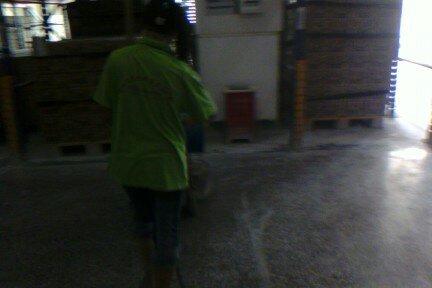 供應(yīng)什么是混凝土密封固化劑