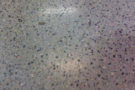 供應(yīng)鋰基密封固化劑