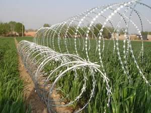 供應(yīng)*刺繩防護網(wǎng)，護欄網(wǎng)護欄網(wǎng)廠家