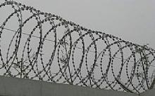 供應(yīng)*刺繩防護網(wǎng)，護欄網(wǎng)護欄網(wǎng)廠家