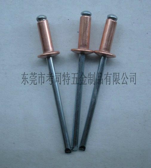 供應(yīng)沉頭拉鉚釘