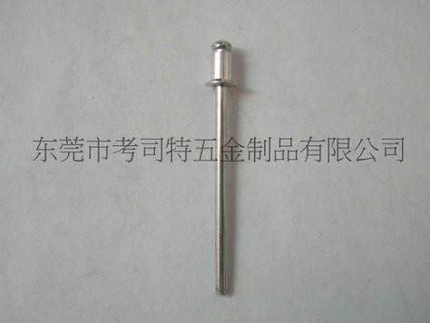 供應(yīng)沉頭拉鉚釘