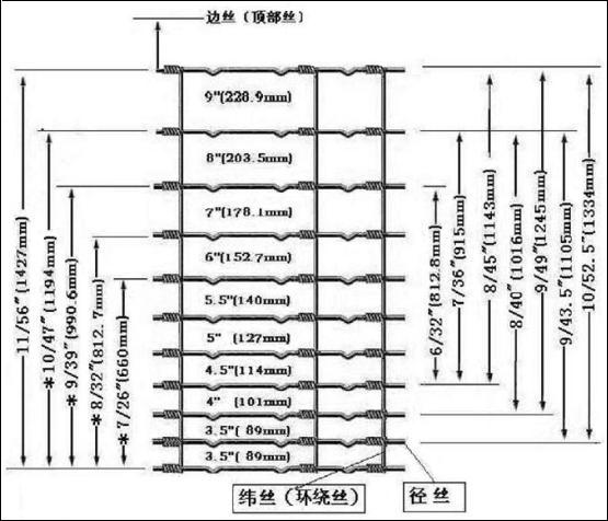 草原網圖片