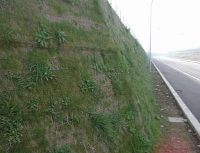 供應(yīng)生態(tài)格結(jié)構(gòu)六角網(wǎng)