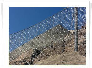 活絡(luò)網(wǎng)圖片/活絡(luò)網(wǎng)樣板圖 (2)