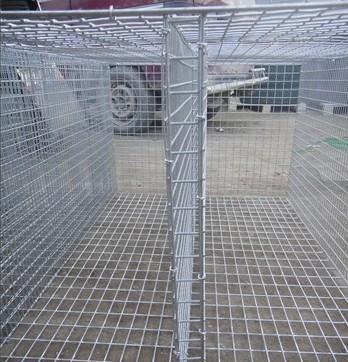 供應(yīng)新式*籠*電焊網(wǎng)