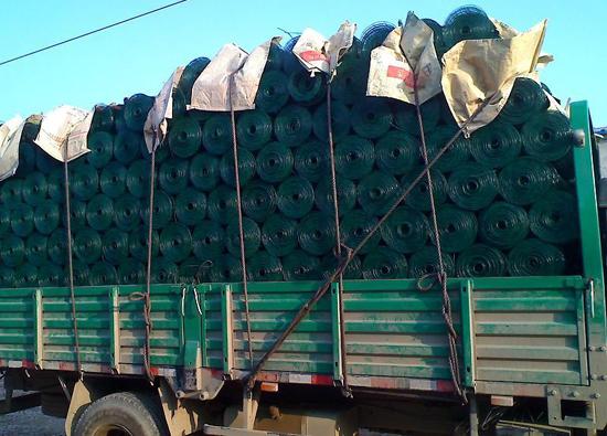 荷蘭網(wǎng)圖片