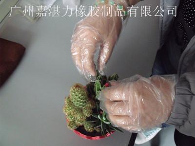 供应PE薄膜手套