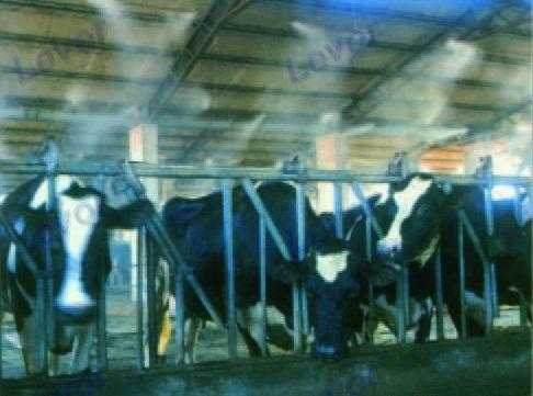 畜牧業(yè)造霧消毒設(shè)備圖片