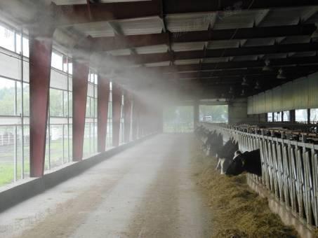 畜牧業(yè)造霧降溫設(shè)備圖片