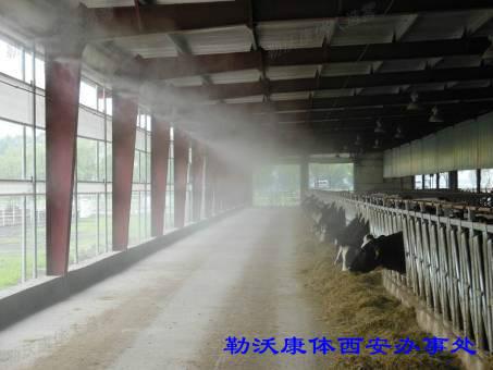 供應西安畜牧業(yè)人造霧設備價格