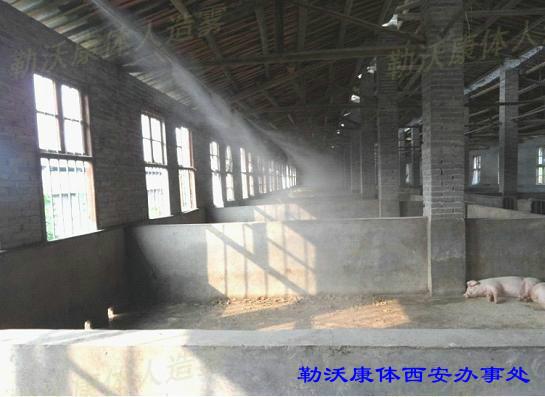 降溫消毒圖片/降溫消毒樣板圖 (3)