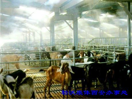 供應家禽養(yǎng)殖場人造霧消毒防疫設(shè)備