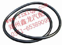 供應(yīng)斯太爾后輪油封