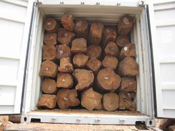 供應非洲原木進口租船訂艙