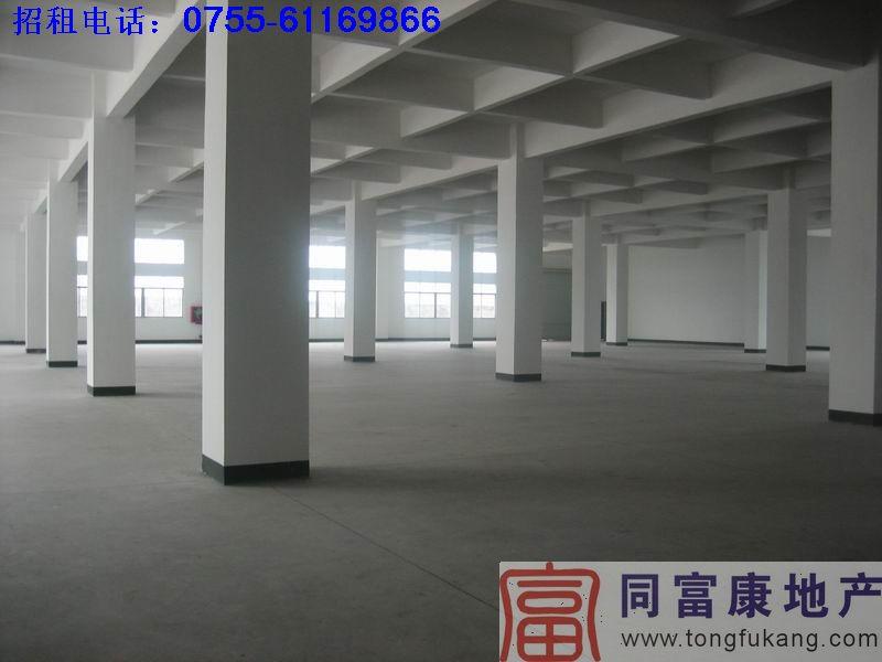 供應(yīng)4900平方米光明廠房租賃