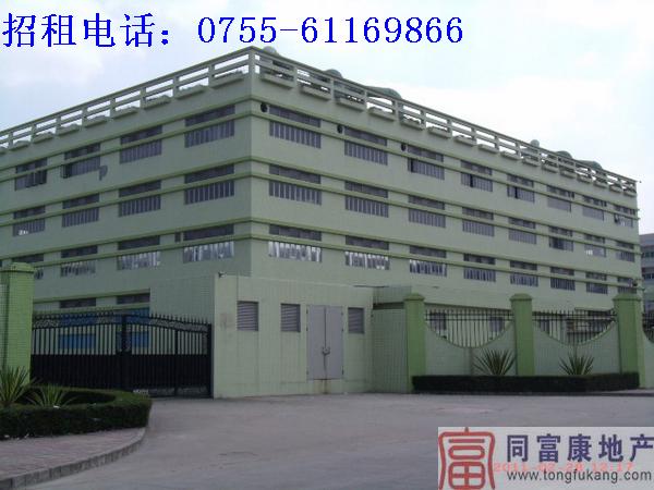 公明廠房1-4F6000平方米招租