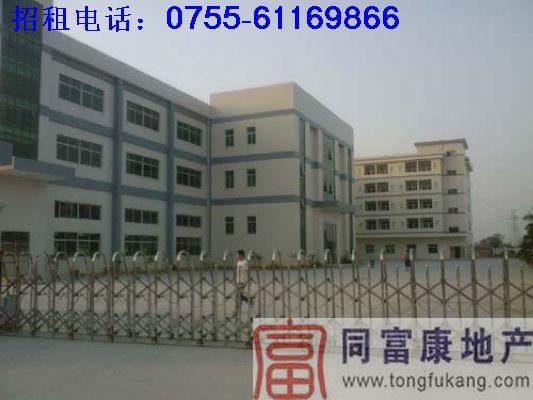 供應(yīng)松崗廠房招租3990平方米