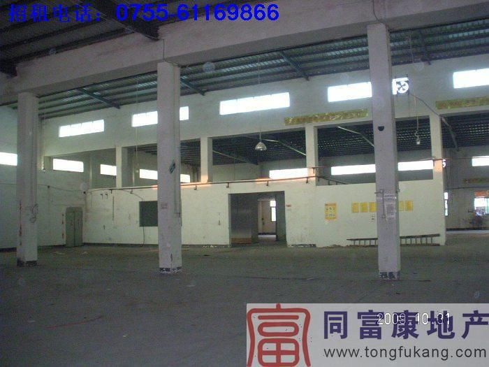 公明便宜廠房出租圖片