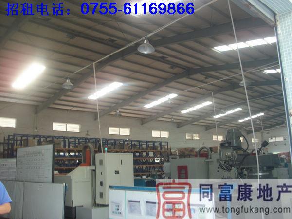 1560平方米鋼構(gòu)廠房圖片