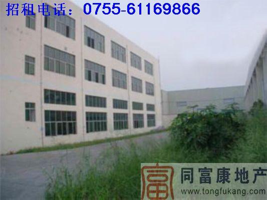 光明廠房1-3F4500平方米招商