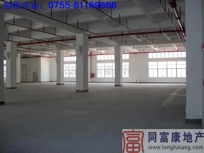 公明廠房1-4F6000平方米招租