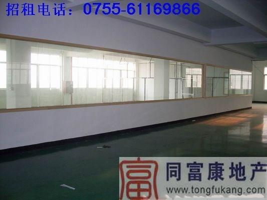 帶裝修樓上光明廠房招商300-1000平米