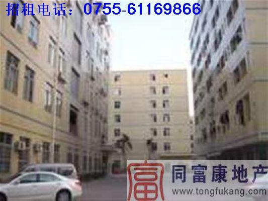 供應(yīng)深圳公明廠房出租1萬平方米