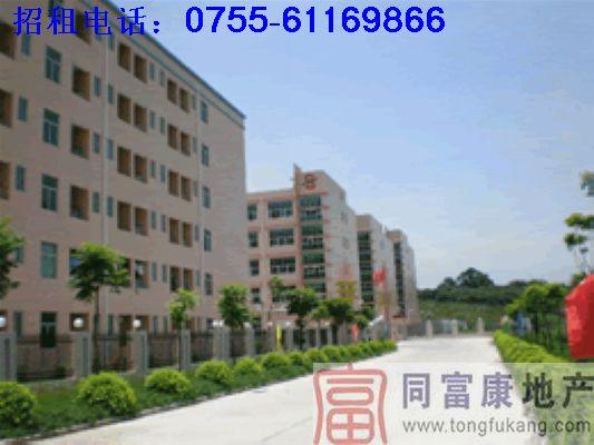 5萬平米光明廠房招商圖片