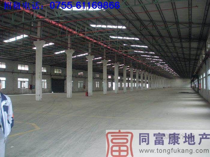 出租鋼構(gòu)3000平方米光明廠房圖片