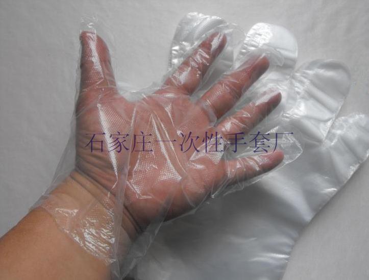 供應(yīng)一次性手套（一次性薄膜衛(wèi)生手套）工廠