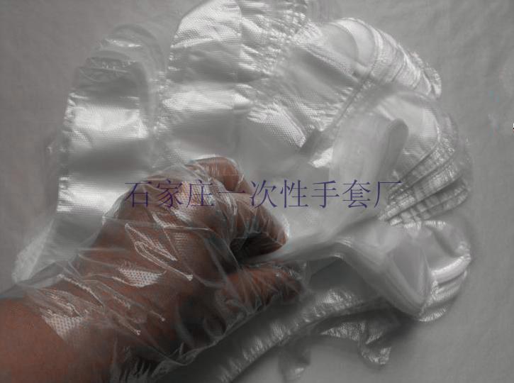 福州銷售一次性PE薄膜塑料手套