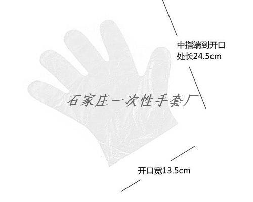 供應(yīng)一次性LDPE手套/衛(wèi)生PE手套