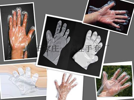 供應(yīng)西藏批發(fā)一次性塑料手套衛(wèi)生手套