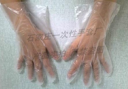 供應(yīng)營口一次性塑料薄膜衛(wèi)生手套價錢
