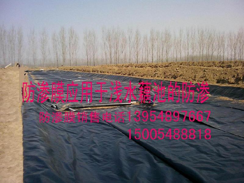 人工湖防滲復(fù)合土工膜，沼氣池土工膜價格，沼氣池防滲膜，土工布