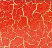 供應(yīng)線狀裂紋的原因