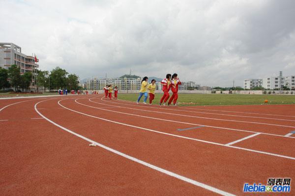 供应宁波塑胶跑道公司