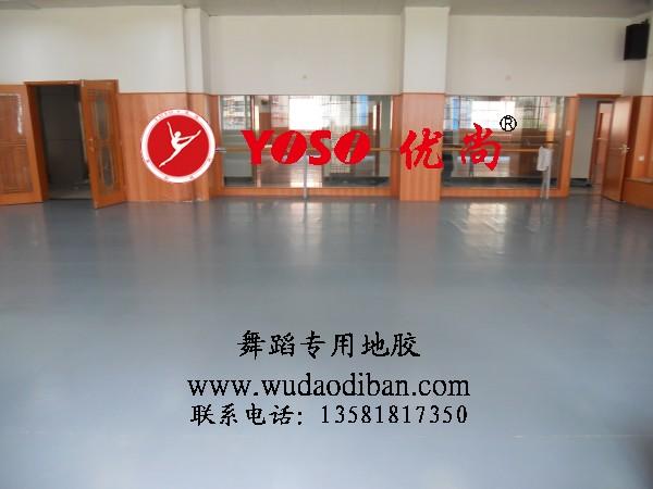 供應(yīng)塑膠舞蹈地板，劇院舞臺地膠，專業(yè)舞蹈室地膠 舞蹈專業(yè)塑膠地板