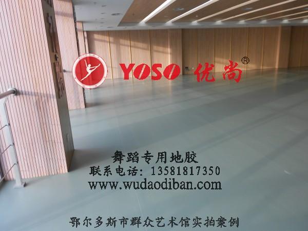 舞蹈教室地板 舞蹈房裝修用的塑膠地板 專業(yè)的舞蹈地板