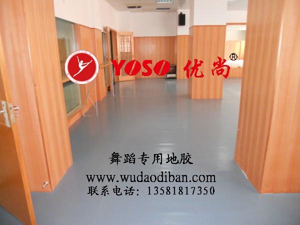 供應(yīng)塑膠舞蹈地板，劇院舞臺地膠，專業(yè)舞蹈室地膠 舞蹈專業(yè)塑膠地板