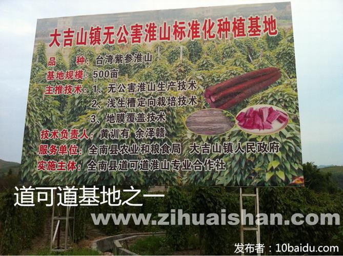 供應(yīng)江西紫玉淮山