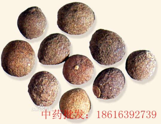 枳實批發(fā)出售圖片