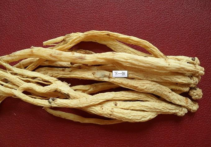 安徽供應(yīng)全國(guó)桔梗圖片