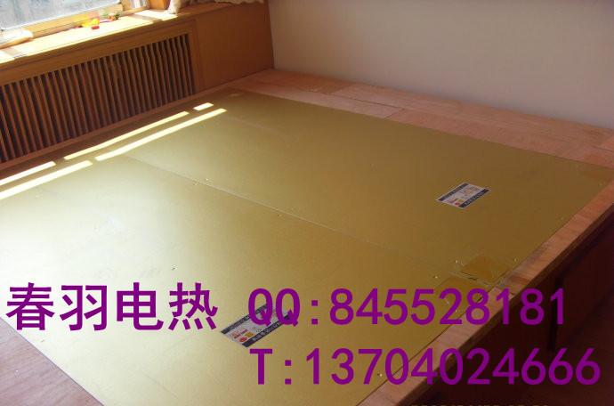 供應(yīng)遼中電熱電暖電熱炕電熱膜施工