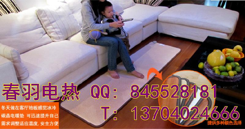 供應(yīng)沈陽專業(yè)電熱墊