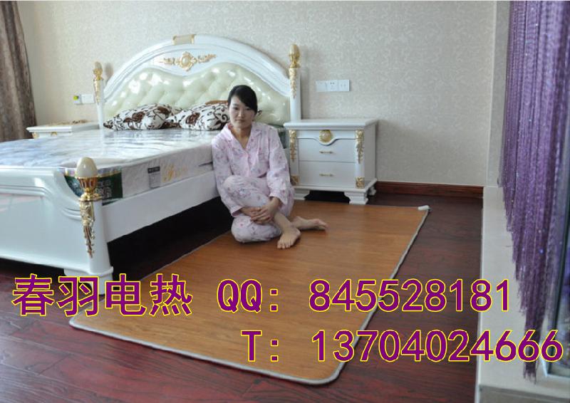 供應(yīng)沈陽專業(yè)電熱墊