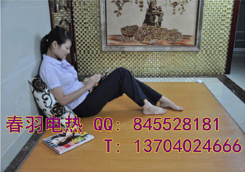 供應(yīng)沈陽專業(yè)電熱墊